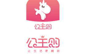 公主购：新零售电商市场中的女性消费新势力