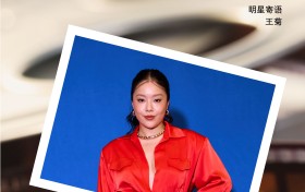 流行乐女歌手、演员王菊：既然选择追求一份事业，必须为它坚持到底